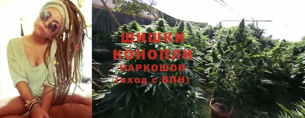 шишки Абдулино