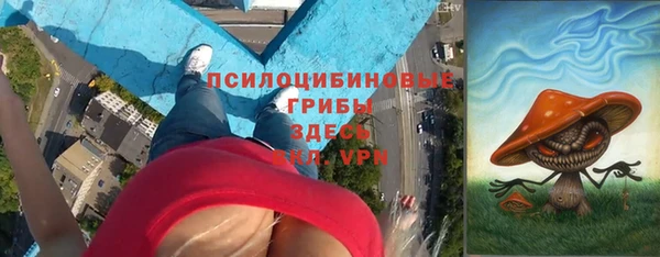 шишки Абдулино