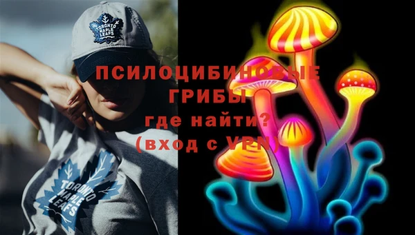 шишки Абдулино